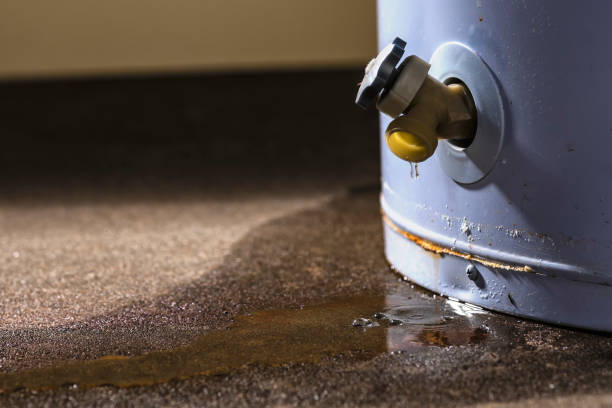 Best 24-hour water damage restoration  in Indiantown, FL