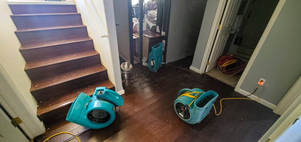 Best Ceiling water damage repair  in Indiantown, FL