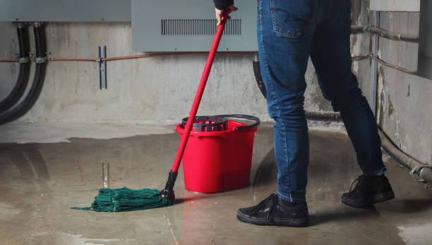 Best Commercial water damage restoration  in Indiantown, FL
