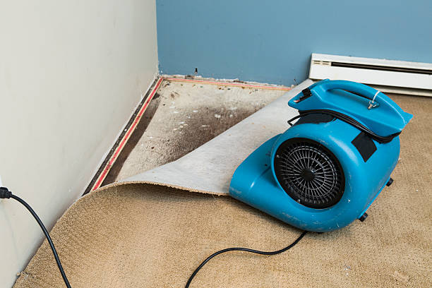 Best Professional water damage repair  in Indiantown, FL